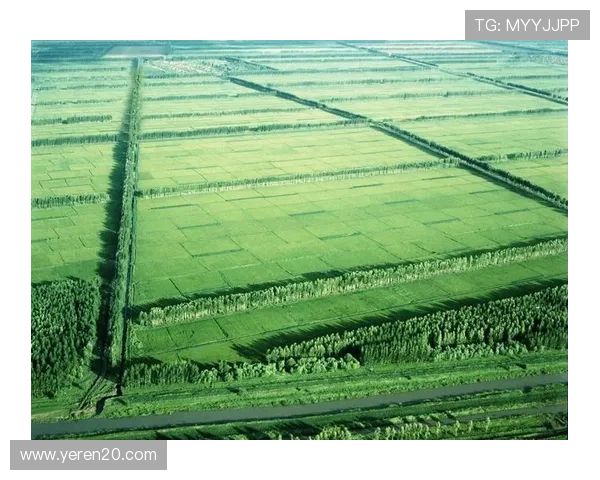 北大荒：那片曾经荒芜，如今却刻骨铭心的热土